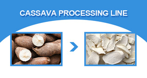 500-1000kg Automatic Cassava Processing Line Cassava Washing Peeling Cutting Drying Processing Machine