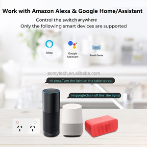 AU智能ZigBee单电源点，带2个USB WiFi 1 Gang GPO SAA双USB 20w C型移动定时器倒计时遥控器 - Product Image 3