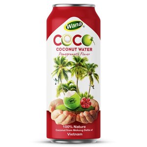 500ml天然ココナッツウォーターキウイフルーツ製品自社ブランドスポーツドリンクフルーツジュースドリンクWana飲料