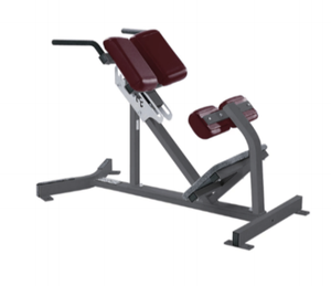 La migliore estensione della schiena di qualità dalla fonte di attrezzature per il Fitness commerciale è ora in vendita - Product Image 1