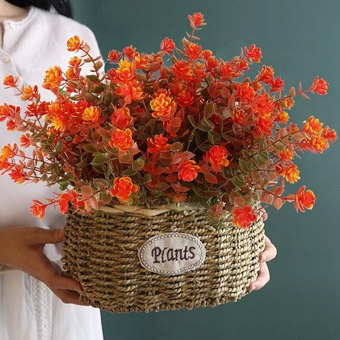 Orange Color