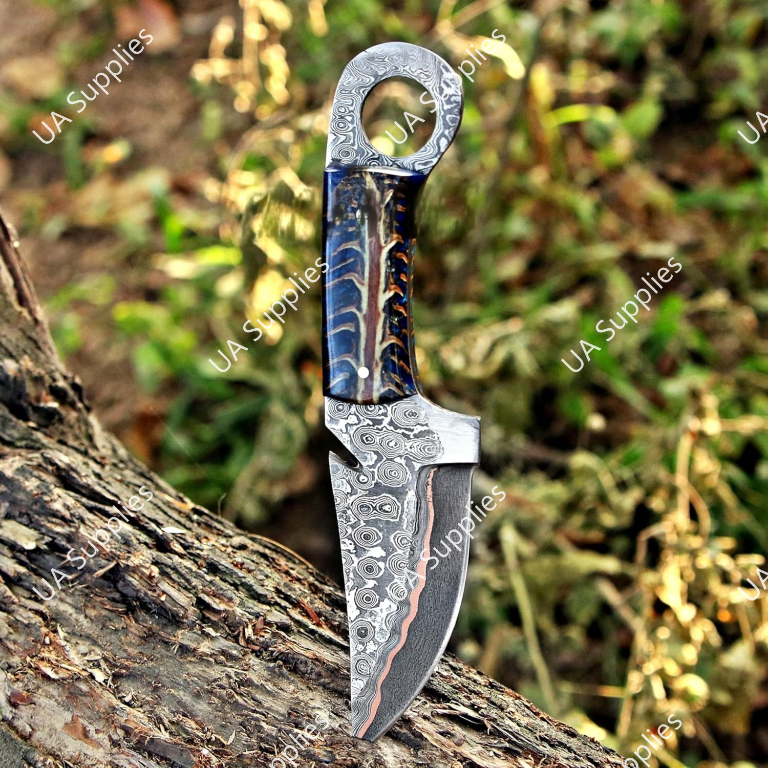 Résine de pomme de pin