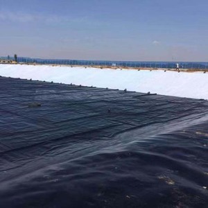 0.75mm 1mm 1.5mm 2mm-Customizable <strong>HDPE</strong> Geomembrane Pond Liner Dam Liner Geomembrane Geomembrana <strong>Hdpe</strong> Pond Liner 45 Mil - Product Image 3