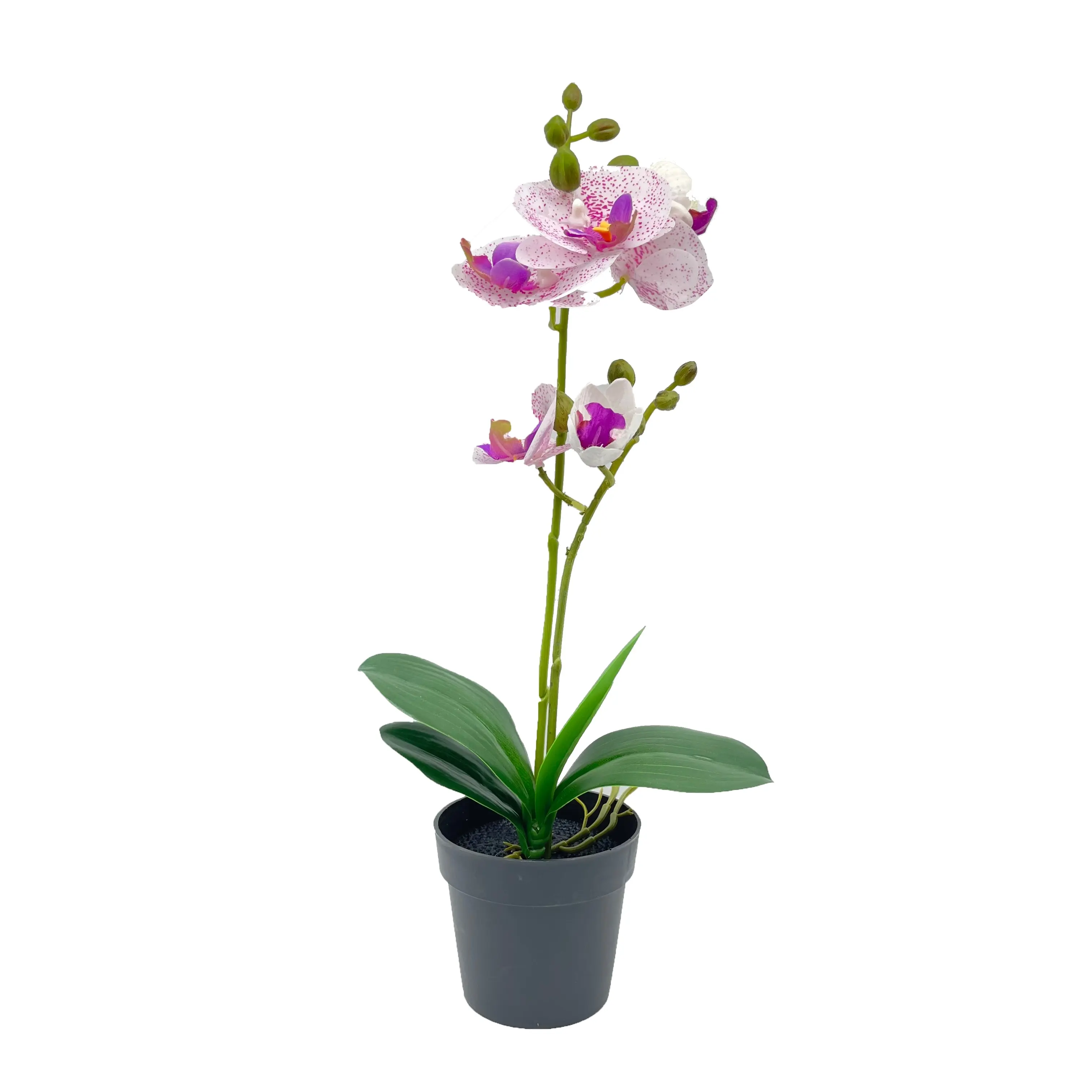 Più caldo PEVA bianco-viola diversi colori artificiali all'ingrosso fiori orchidea in vaso di plastica nera grandi magazzini decorazioni per la casa