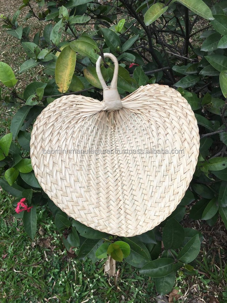 สีธรรมชาติ