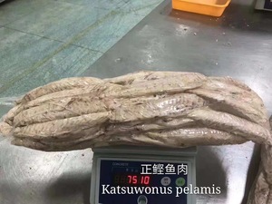 Katsuwonus pelamisIQF冷凍スキップジャックツナロース、ボーンレスダークミートを太平洋インド洋から除去 - Product Image 3