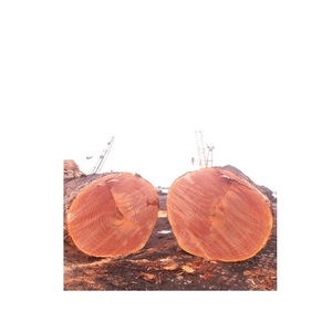 Sawn Teak Azobe günlükleri/kiraz günlükleri satılık düşük maliyetleri. - Product Image 6