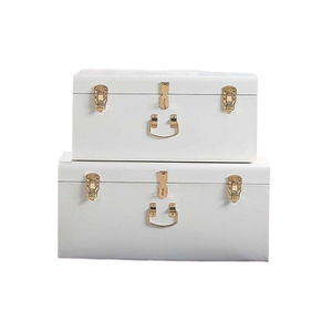 Hindistan'dan 2 Prime kalite giysi saklama kutu trend tasarım Metal sandıklar ve bavul kutusu seti - Product Image 3