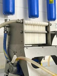 Saf ve doğal soğuk preslenmiş organik nane tohumu uçucu yağ toptan toplu fiyat baz yağ - Product Image 3