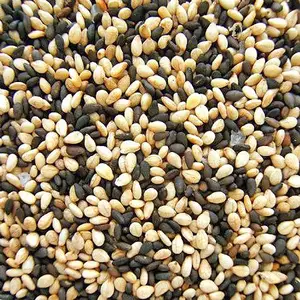 Wholesale Price High Quality Natural Raw Sesame Seeds 100% Pure White Hulled Sesame Seed Buy Sesame Seeds for Sale at cheap