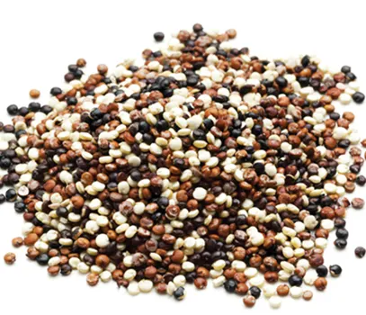 Quinoa tricolore biologica del perù a basso prezzo