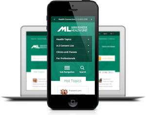 Professionale Open Source reattivo B2C sito web di E-Commerce Design di spedizione Online App per lo sviluppo di Software Mac OS Stock