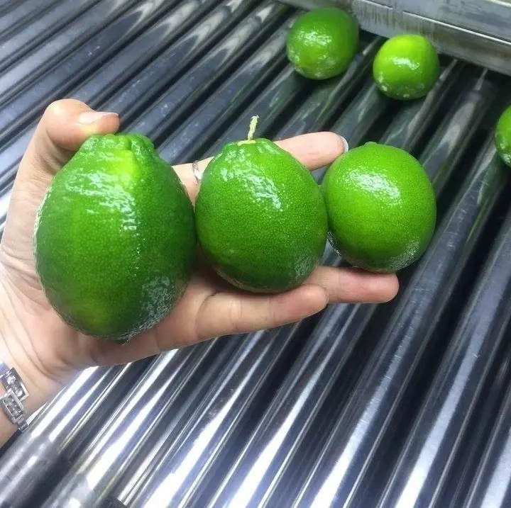 Свежий лимон без косточек 84 917476477 в вьетнамском стиле 7 кг в коробке с зеленым цветом натуральный кислый Т/Т, Л/С 15 дней 4 см