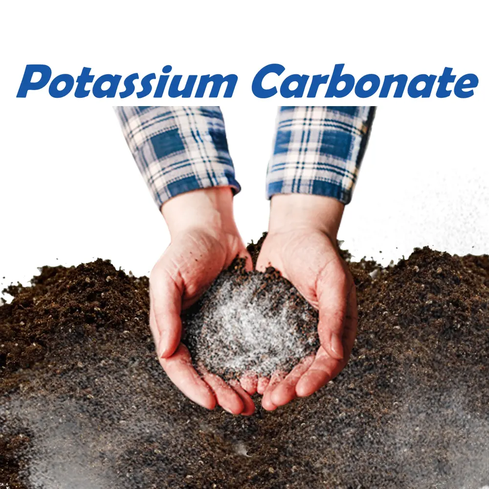 Độ Tinh Khiết Cao Kali Carbonate Potash Phân Bón 99.5% Min K2CO3 Bột CAS NO:584-08-7