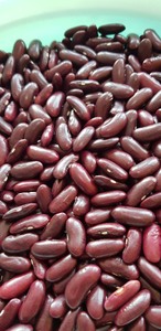 有机黑芸豆价格低廉，来自越南-斯文 + 84 966722357