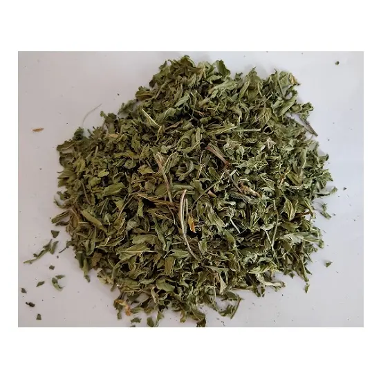 Alta calidad menta hojas/hojas de menta fresca o menta/100% orgánico hojas de menta en VietNam (Lee tran: + 84 987731263)