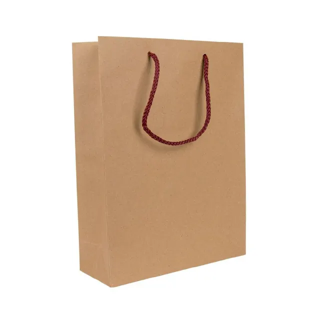 Tốt nhất bán Kraft Túi giấy chất lượng cao có thể tái chế túi với bông xử lý cho bao bì mua sắm và quà tặng thực phẩm Takeaway