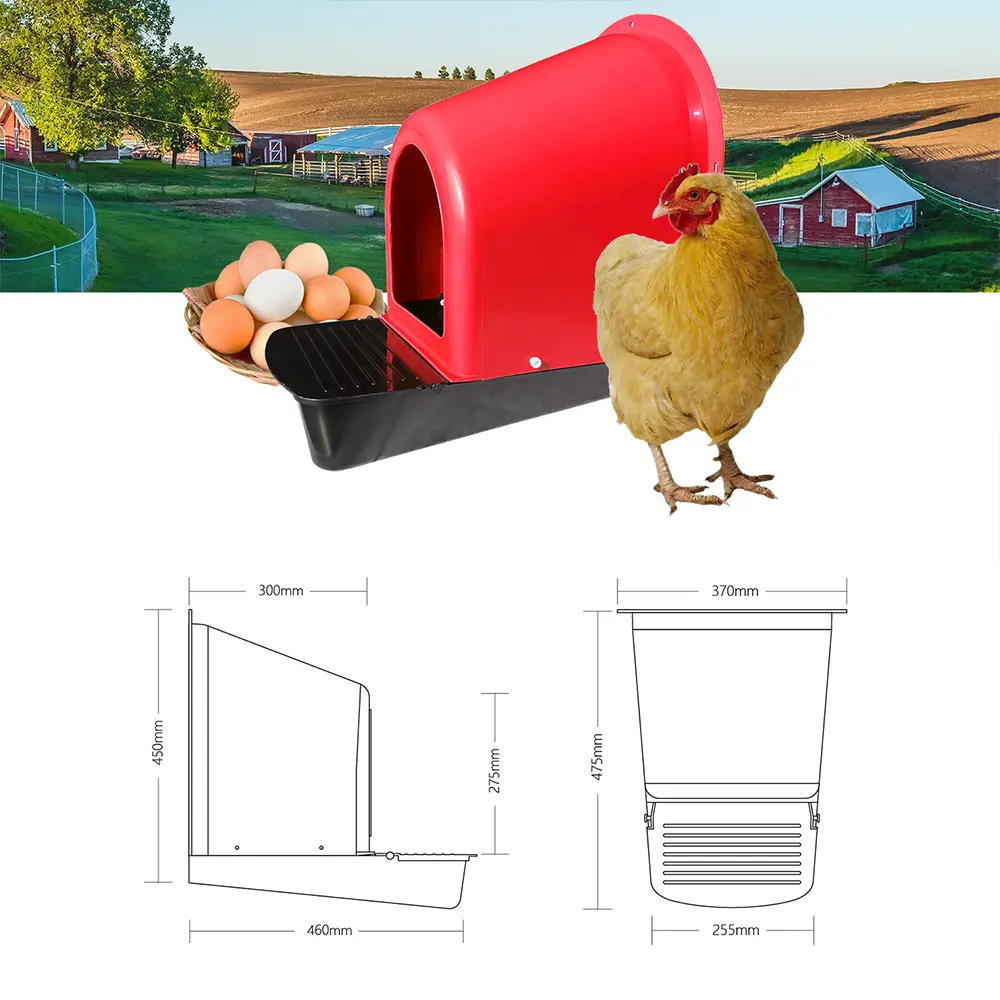 Casa de granja de aves de corral con diseño moderno, caja de plástico para poner huevos, pollo, descuento, estilo europeo