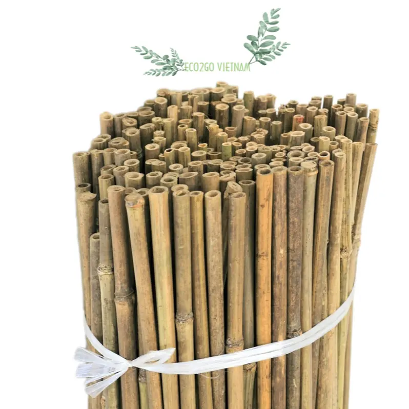 Palo de bambú natural y sostenible para jardín/planta de soporte de palo de bambú para usar en la agricultura fabricado en Eco2goVietnam