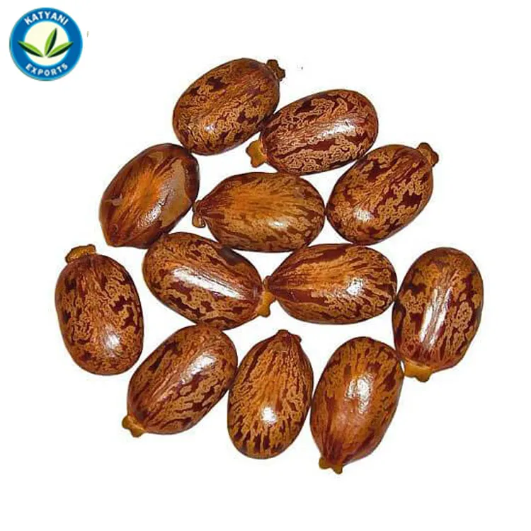 Aceite Esencial de semilla de ricino orgánico 100% Natural, líder en ventas