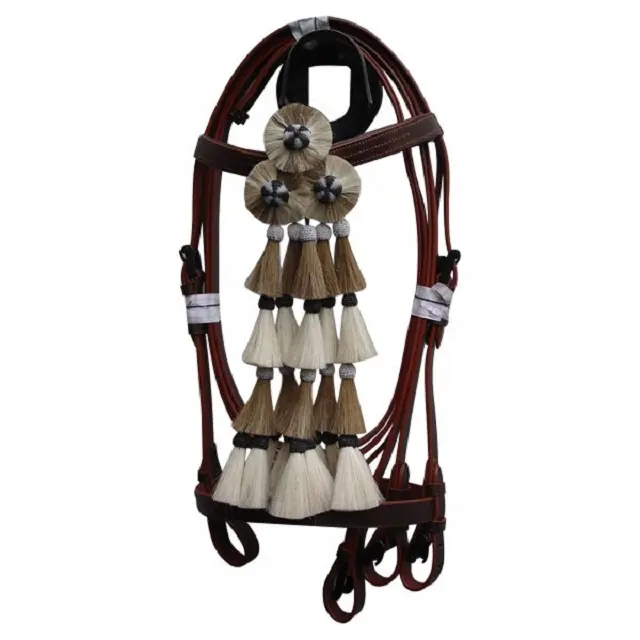 Cầu Tây Ban Nha & headstall.