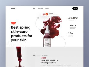 E-Commerce Web Application Design und Entwicklungs agentur Experte für Software