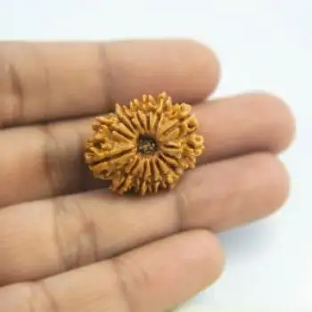 고품질 자연 15 15 Mukhi Rudraksha Japa Mala 제조 공예 수제 제품 인도 2021Japa mala rudraksh