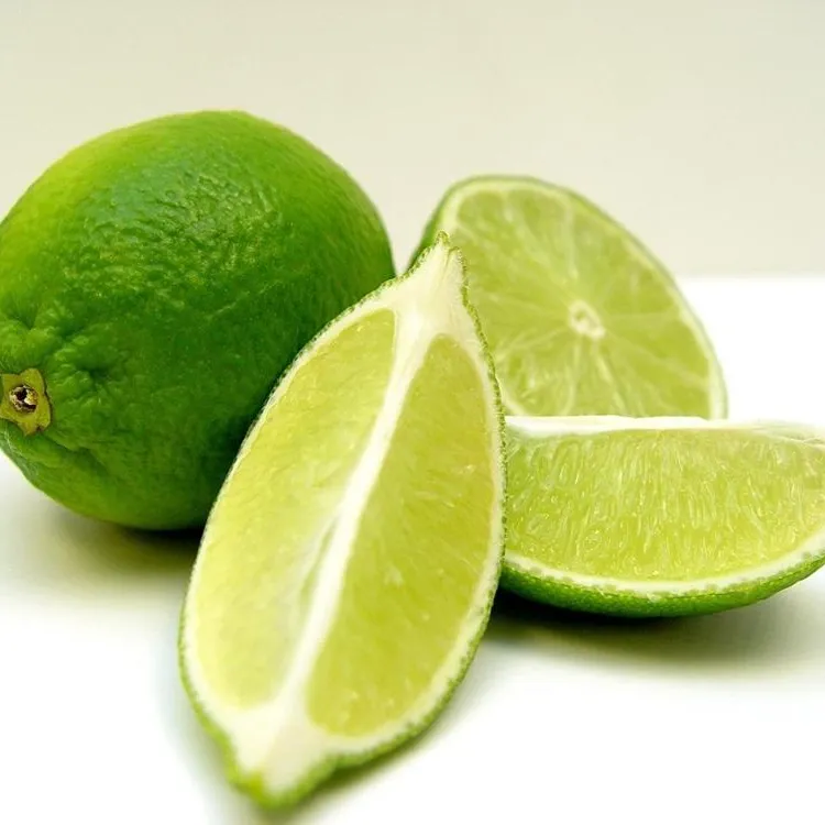 Verde fresco sin semillas de cal y limones de Canadá para la exportación