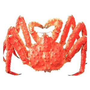 Toplu kral yengeç canlı kral yengeç/kral yengeç bacakları/kanada kırmızı yengeç ayakları - Product Image 4