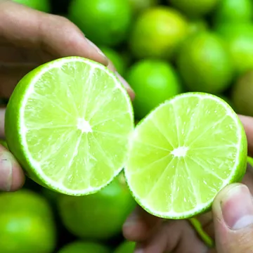 FRESH SEEDLESS LIMES TROPICAL FRUITS FOR SALES FROM VIETNAM/MS LAURA + 84 896611913