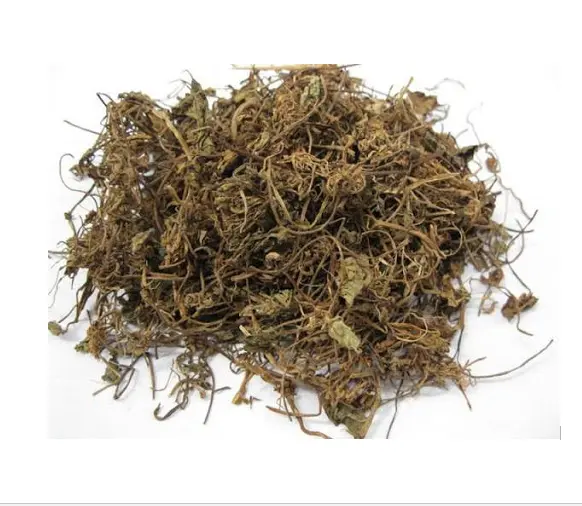 Ms. Laura's Dried Centella Asiatica / Gotu Kola Pennywort Herbal Extract Leaf Part Packaged in Plastic Container