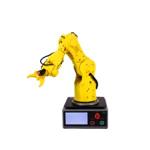 Braccio di vendita calda Robot Robot educativo braccio robotico Desktop 6 assi