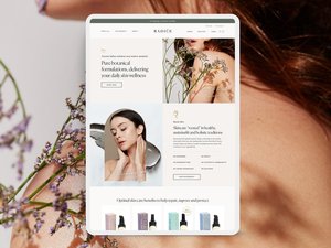 Web designer professionisti e sviluppatori per il Software di sviluppo Web Design e siti Web di Shopify
