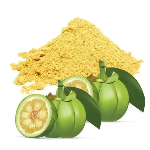 Alta qualidade Garcinia Cambogia extrato Garcinia Cambogia fruta Puro Garcinia Cambogia extrato