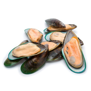 魚介類輸出冷凍生きた貝殻殻殻殻なし青ムール貝肉 - Product Image 6