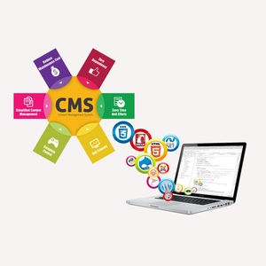 Custom CMS Website | CMS Based Web Services in India | Protolabz EServices - Product Image 6