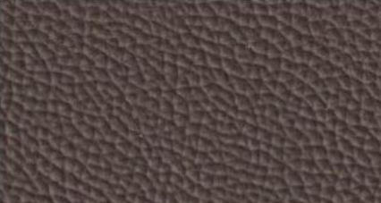 8817 Brown