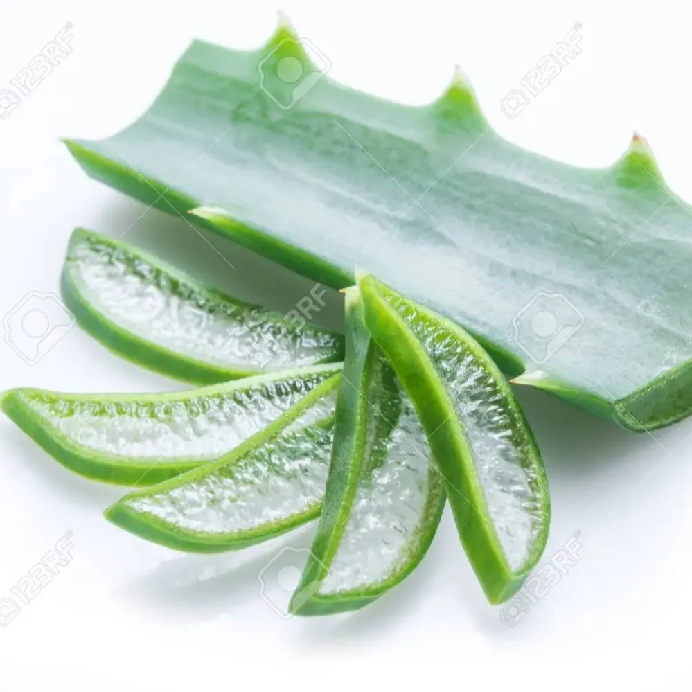 Buen precio Vietnam fresco Aloe Vera gel hoja a granel orgánico para jugo en polvo limpiador naturaleza República piel Material saludable Teresa