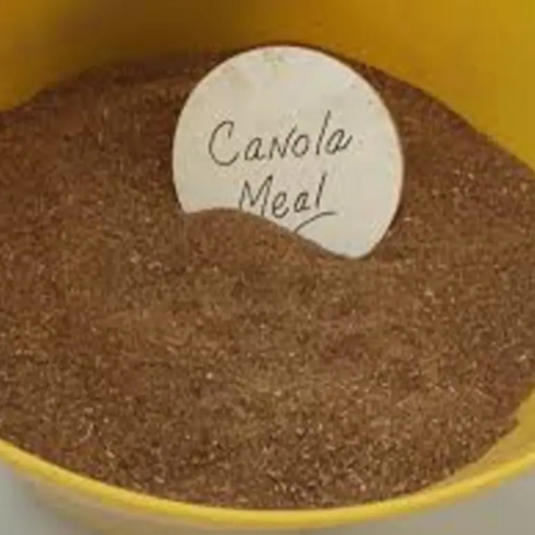 Rapeseed Meal And Canola Meal
