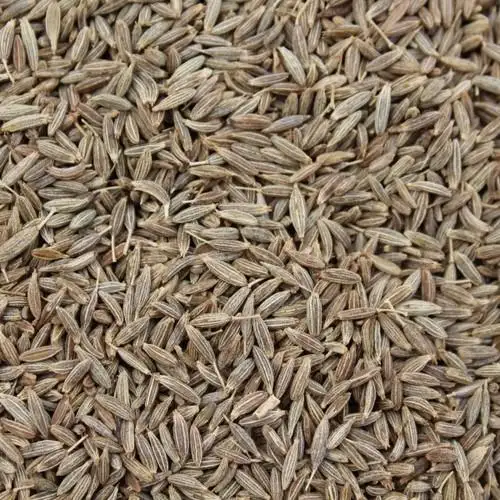 India wholesale export high quality Dried cumin seeds