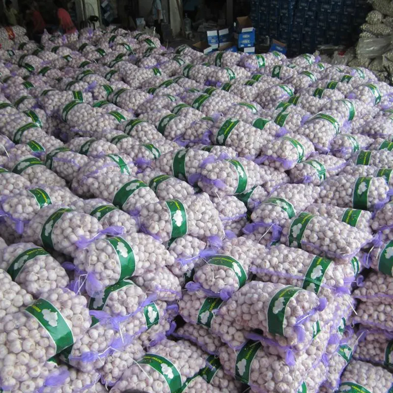 Çin Normal beyaz taze sarımsak 10kg örgü çanta ambalaj