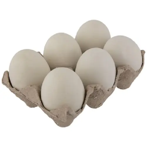 Hot selling Ostrich Eggs, Chicken Eggs, Turkey eggs