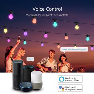 最新の48FT15電球パーティーホリデーストリングライトポイントコントロールtuyaWiFi & BLEスマートrgbwストリングライト - Product Image 3