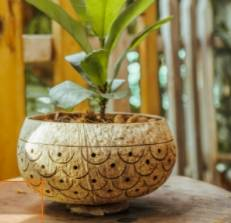 สีน้ำตาล