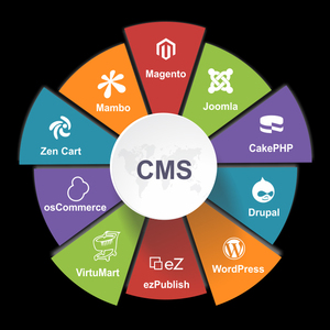 Custom CMS Website | CMS Based Web Services in India | Protolabz EServices - Product Image 3