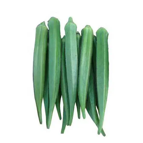 100% légumes frais Okra 100% biologique de qualité supérieure pour dames doigt/frais Okra Export fabriqué en thaïlande