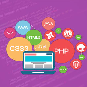 En PHP geliştiricileri hindistan | En PHP şirketleri hindistan'da | Protolabz eServices