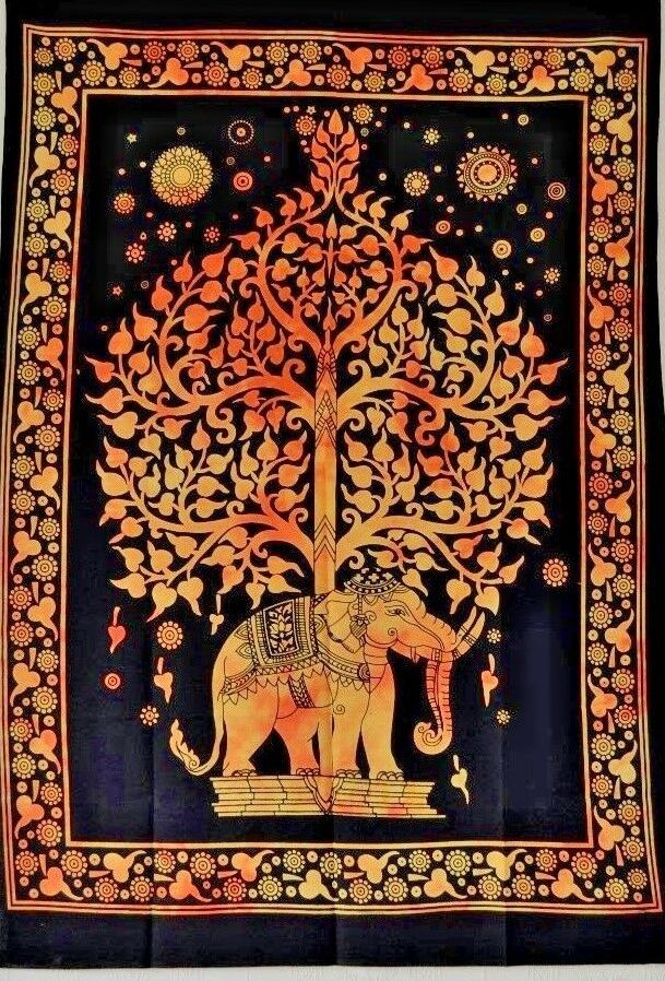 สีส้ม