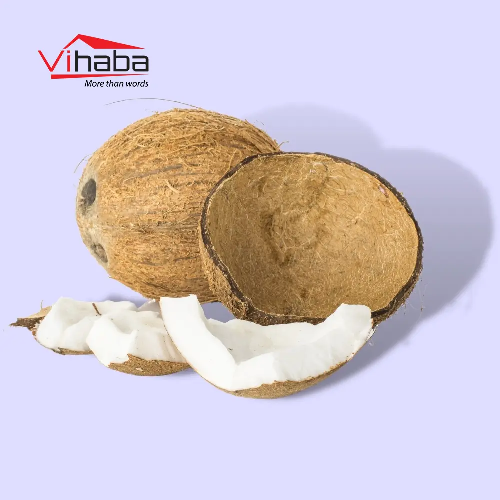 Export desiccated coconut low fat fresh young coconut products snacks chips semi husked coconut