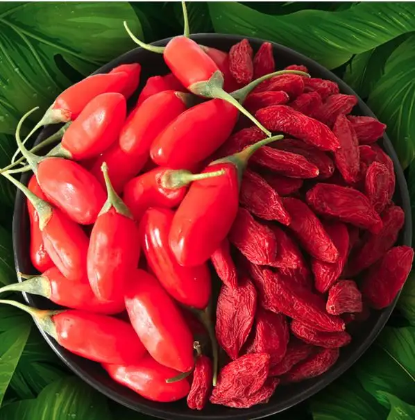 ขายทั้งหมดได้รับการรับรองคุณภาพสูงอินทรีย์ Goji Berry ส่วนลดตอนนี้